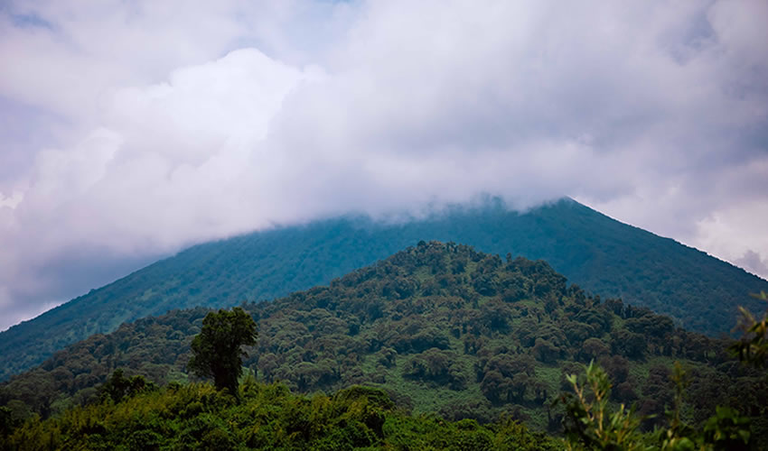 2 Days Mount Karisimbi Hiking Tour