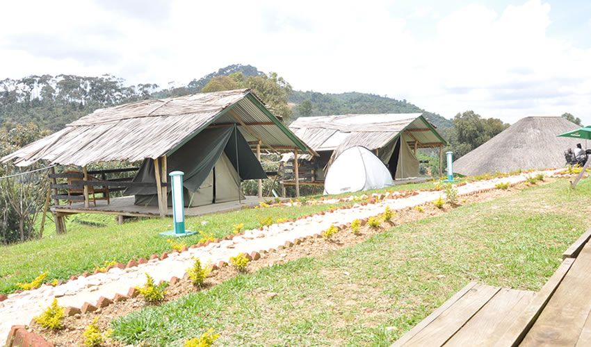 Nyungwe Nziza Ecolodge