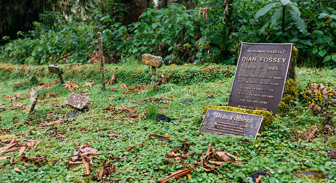 Dian Fossey Graveyard Hike