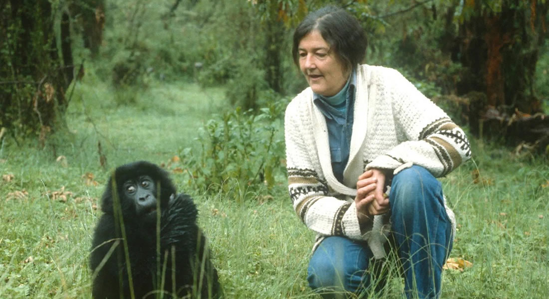 Dian Fossey Grave Site Hike